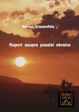 Raport asupra poeziei ebraice (Romanian Edition)