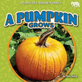 A Pumpkin Grows
