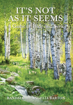 It's Not as It Seems: A Game of Hide and Seek