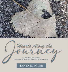 Hearts Along the Journey - Large Print