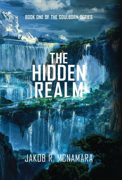 The Hidden Realm: Book One of the Soulborn Series