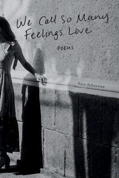 We Call So Many Feelings Love