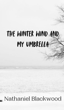 The Winter Wind and My Umbrella