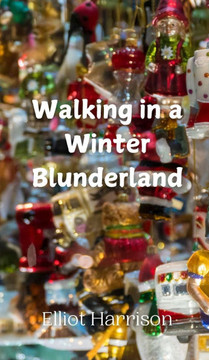 Walking in a Winter Blunderland