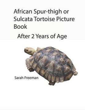 African Spur-thigh or Sulcata Picture Book - After 2 Years of Age