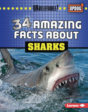 34 Amazing Facts about Sharks 34 Amazing Facts about Sharks