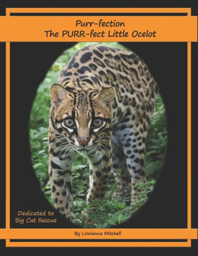 Purr-fection, the PURR-fect Little Ocelot