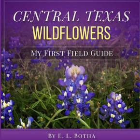 Central Texas Wildflowers: A Baby'S First Field Guide Book (My First Field Guide)