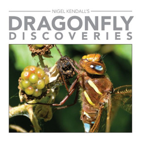 Dragonfly Discoveries