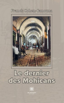 Le dernier des Mohicans