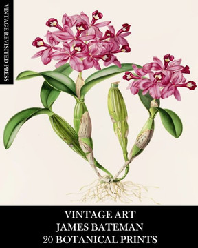 Vintage Art: James Bateman: 20 Botanical Prints: Orchid Ephemera for Framing, Home Decor, Collage and Decoupage Vintage Art: James Bateman: 20 Botanical Prints: Orchid Ephemera for Framing, Home Decor, Collage and Decoupage