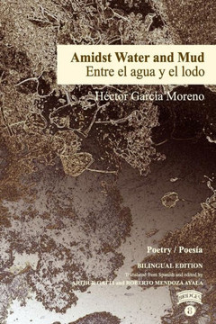 Amidst Water And Mud / Entre El Agua Y El Lodo (Bridges)