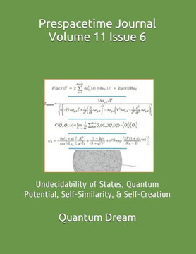 Prespacetime Journal Volume 11 Issue 6: Undecidability of States, Quantum Potential, Self-Similarity, & Self-Creation