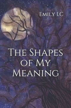 The Shapes of My Meaning