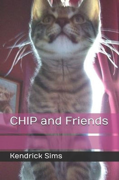 CHIP and Friends