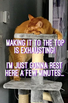 Making It To The Top Is Exhausting!: Iæm Just Gonna Rest Here A Few Minutes...