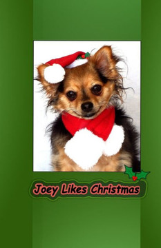 Joey Likes Christmas