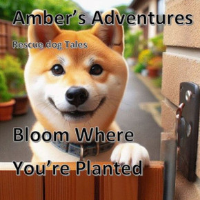 Amber's Adventures: Bloom Where You're Planted
