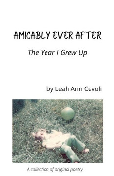Amicably Ever After: The Year I Grew Up