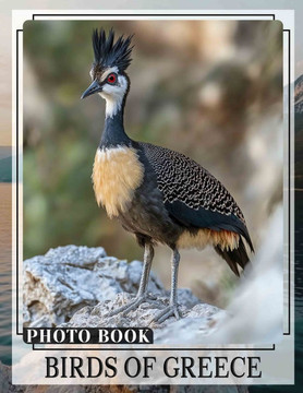 Birds of Greece Photo Book: Explore 40 Stunning Images Of Greece's Unique Avian Wildlife For Enthusiasts