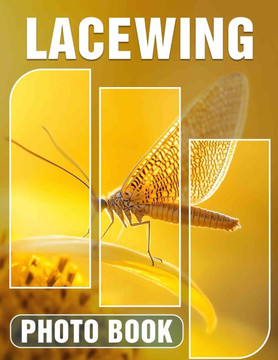 Lacewing Photo Book: Explore Vibrant Nature Through 40 Stunning Images Of Lacewing Insects And Their Habitat