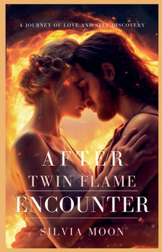 After the Twin Flame Encounter After the Twin Flame Encounter
