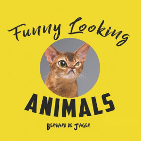 Funny Looking Animals: Funny animal faces, made to smile, look funny or just look weird.