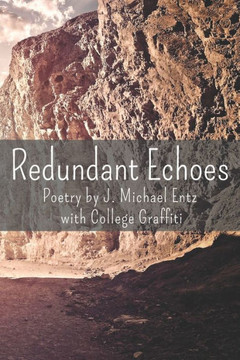 Redundant Echoes Redundant Echoes