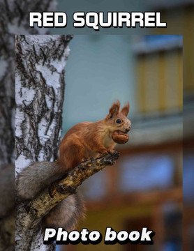 Red Squirrel Photo Book: 40 Stunning Images Capturing Nature's Playful Rodent For Animal Lovers and Enthusiasts