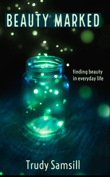 Beauty Marked: Finding Beauty in Everyday Life