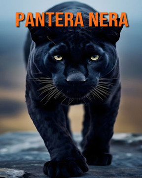 Pantera nera: Divertimento, Fatti e Immagini sui Pantera nera