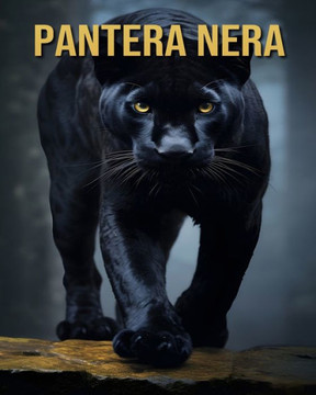 Pantera nera: Divertenti e Interessanti Curiosità e Immagini sui Pantera nera