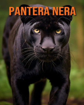 Pantera nera: Un fantastico libro illustrato sugli animali per bambini