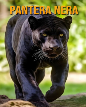 Pantera nera: (Libri sugli animali per bambini) Pantera nera: (Libri sugli animali per bambini)