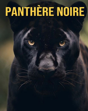 Panthère Noire: Faits Amusants et Images Étonnantes sur les Panthère Noire