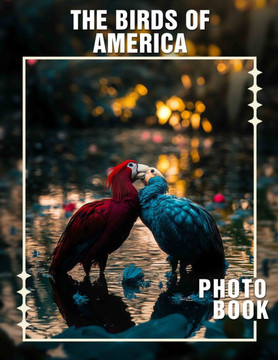 The Birds of America Photo Book: Explore 40 Beautifully Captured Images of Native Avian Species Across America