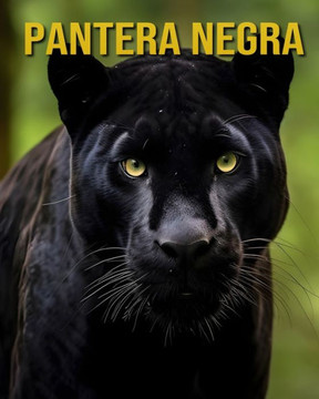 Pantera Negra: Fatos Sobre a Pantera Negra - Um Livro Ilustrado Para Crianças