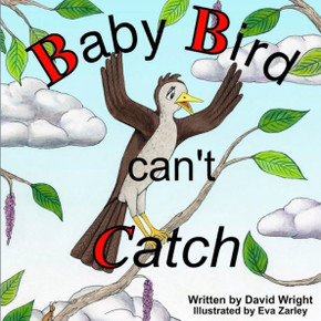 Baby Bird Can't Catch