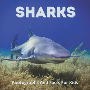 Sharks Photographs And Facts For Kids: Interesting Facts About Great White, Hammerhead, Basking, And Other Sharks
