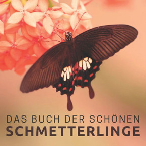 Das Buch der schönen Schmetterlinge: Bildband für Senioren und Demenzkranke Das Buch der schönen Schmetterlinge: Bildband für Senioren und Demenzkranke