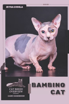 Bambino Cat: Cat breed overview, care handbook
