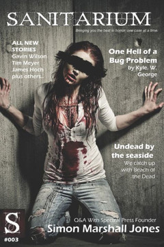Sanitarium Issue #3: Sanitarium Magazine Issue #3 2012 edition