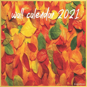 wall calendar 2021: 2021 A Year of Hope and Inspiration, A Year of Hope, inspiration 16-month wall calendar 8.5 X 8.5 Inch