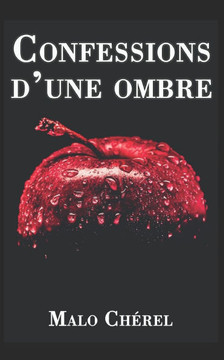 Confessions d'une ombre: Épisode spécial Saison 1/saison 2