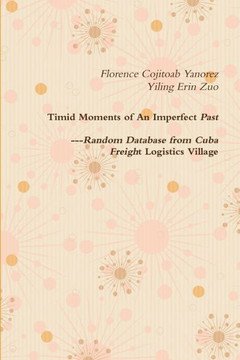 Timid Moments Of An Imperfect Past