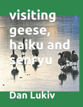 visiting geese, haiku and senryu visiting geese, haiku and senryu