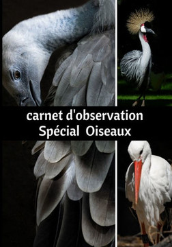 Carnet d'observation Spécial Oiseaux: Journal d'observation des oiseaux