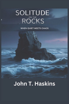 Solitude On The Rocks: When Quiet Meets Chaos