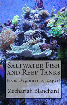 Saltwater Fish And Reef Tanks: From Beginner To Expert
