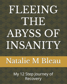 Fleeing the Abyss of Insanity: My 12 Step Journey of Recovery